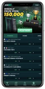 Dashbet Casino Site Review 2026